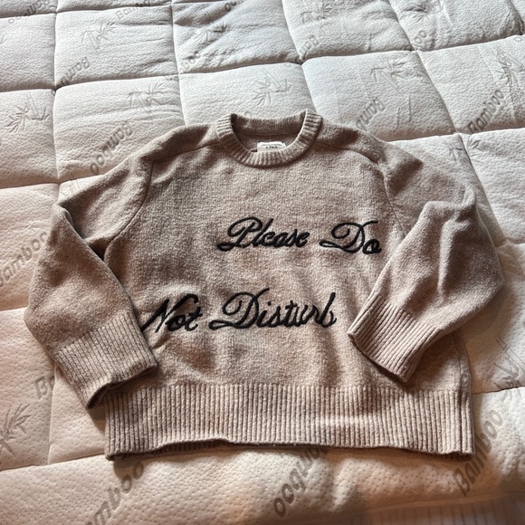 Abercrombie do not disturb Madeline sweater - Picture 3 of 5